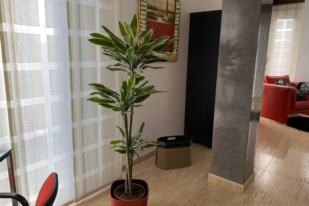 Apartamento Miramar . Amplitud Y Comodidad Almazora Exterior photo